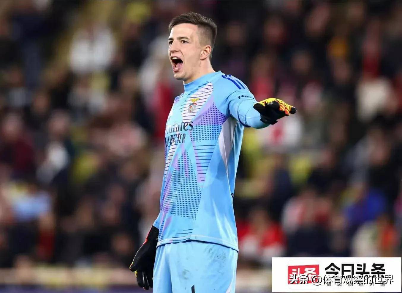  欧冠本菲卡直播 -华体会入口